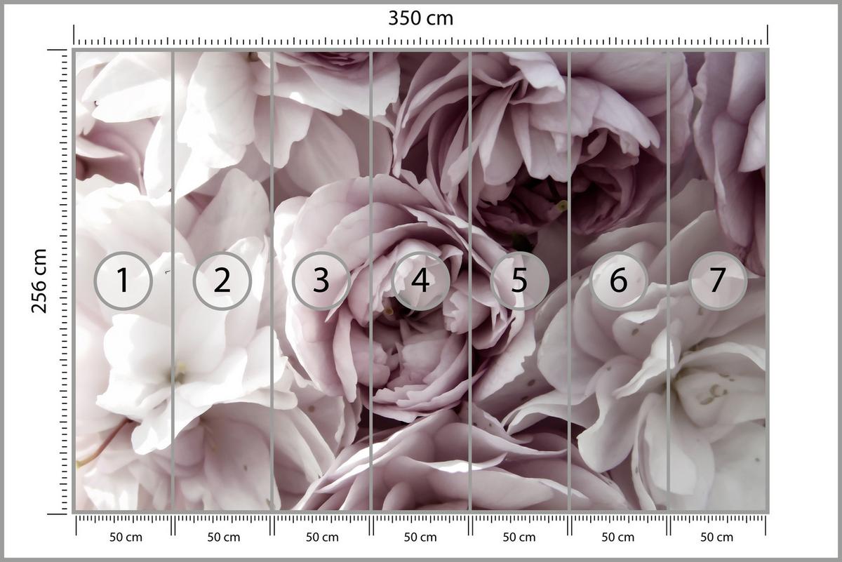 FOTOTAPETE für Badezimmer Pastell Pfingstrosen Blumen 350x256 - Beige/Violett, Papier (350/256cm) - Muralo