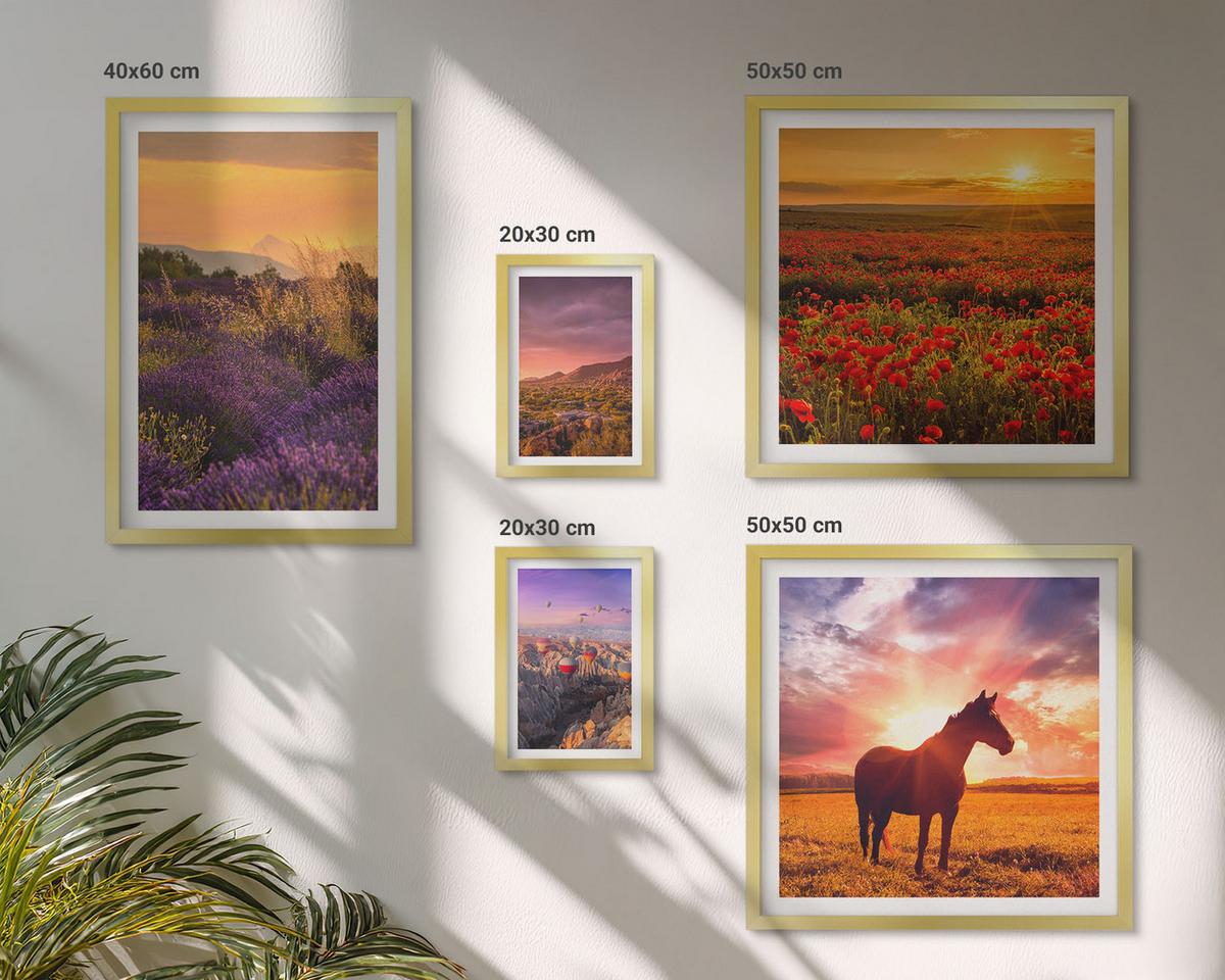 BILDER SET 5er Set - 50x50 cm & 20x30 cm & 40x60 cm Goldrahmen - Berglandschaft Rosslavendel - Goldfarben, Kunststoff (40/60cm) - TULUP