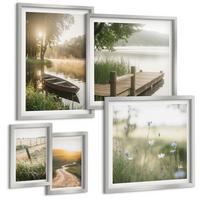 BILDER SET 5er Set - 50x50 cm & 20x30 cm & 40x60 cm Silberner Rahmen - Libellen im Gras, Wassermalerei - Silberfarben, Kunststoff (40/60cm) - TULUP