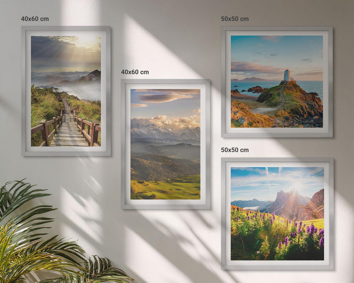 BILDER SET 4er Set - 50x50 cm & 40x60 cm Silberner Rahmen - Bergblumen Himmelsweg - Silberfarben, Kunststoff (50/50cm) - TULUP