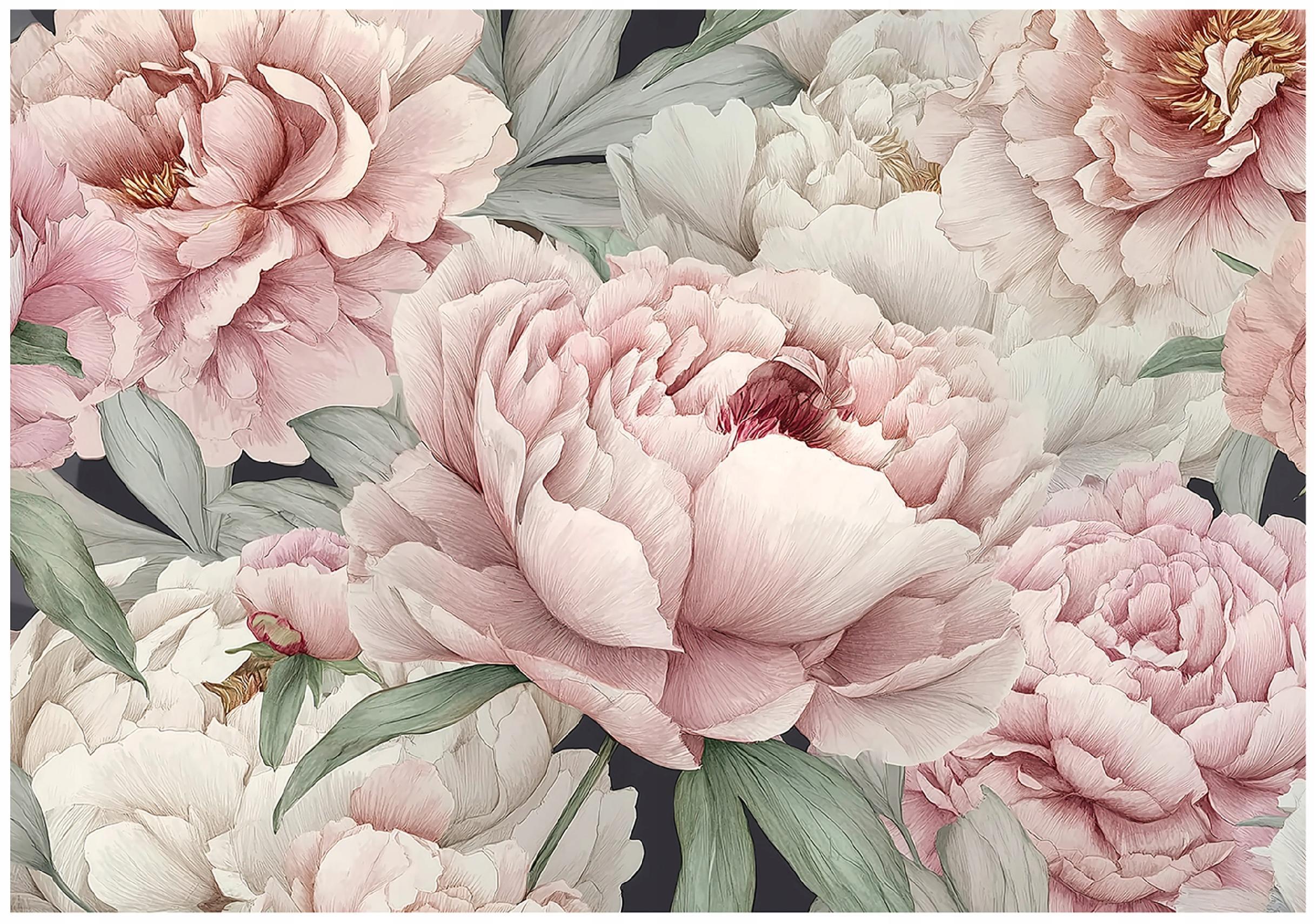 FOTOTAPETE Blumen Pfingstrosen Rosa 150x105 cm - Multicolor, Papier (150/105cm) - Wallarena
