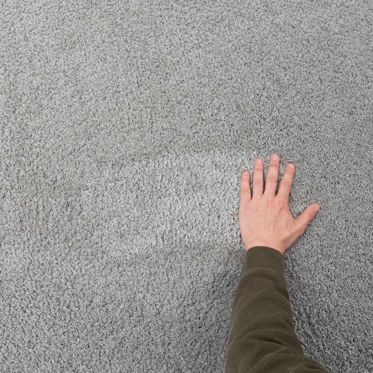 LUXUS HOCHFLOR LANGFLOR TEPPICH HARMONY - Grau, Textil (100/100cm) - Snapstyle