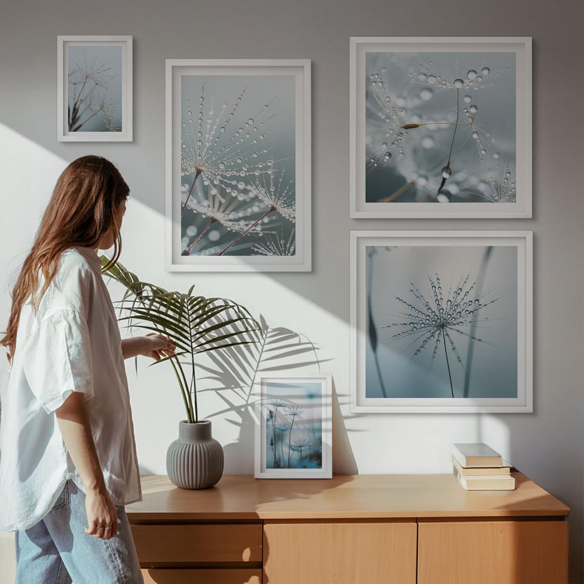 BILDER SET 5er Set - 50x50 cm & 20x30 cm & 40x60 cm Weißer Rahmen - Tautropfen auf Löwenzahn - Weiß, Kunststoff (40/60cm) - TULUP