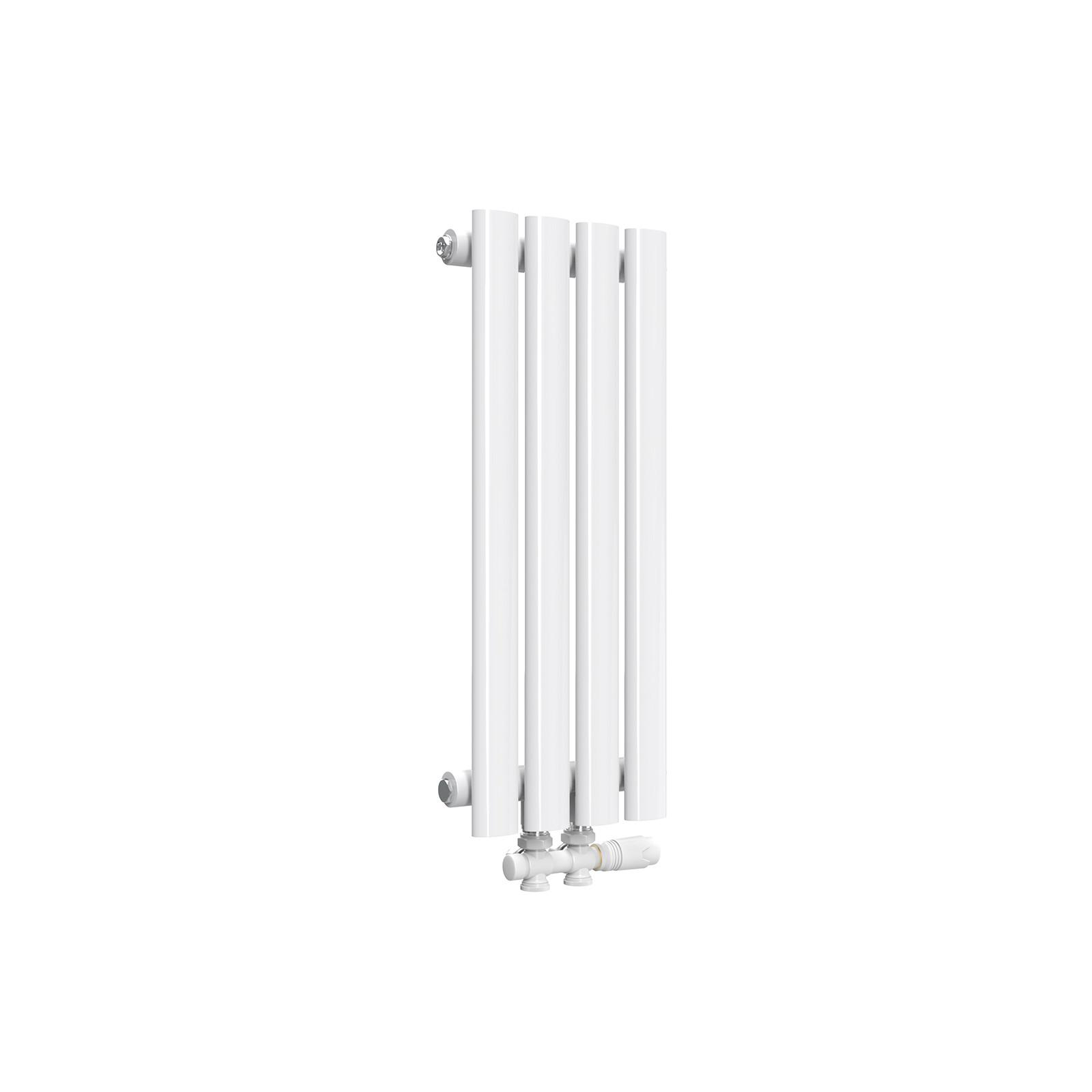 HEIZKÖRPER Doppelrohr vertikal montierbar Weiß 24/60/5,8 cm - Weiß Hochglanz, Metall (24/60/5.8cm) - EMKE
