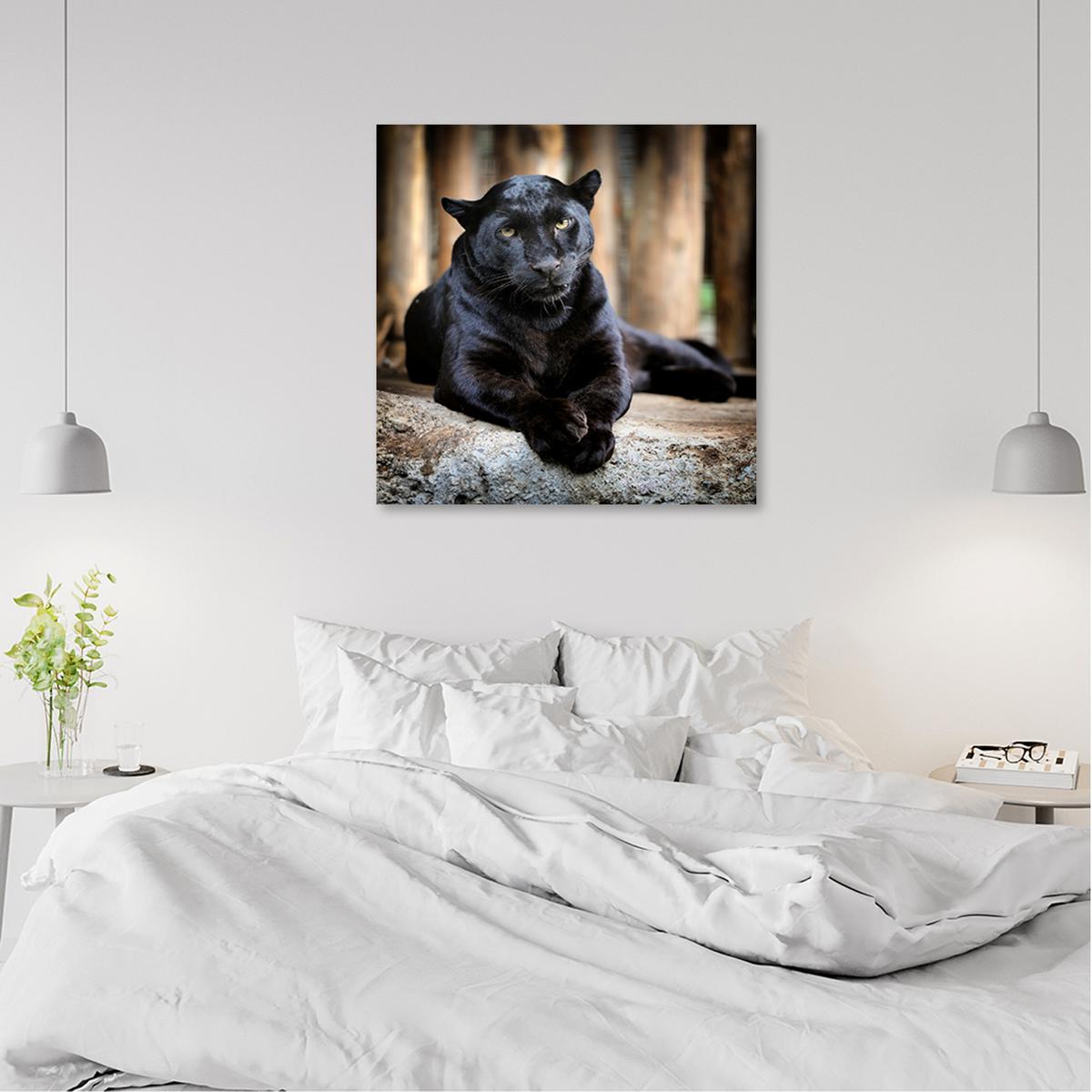 WANDBILD schwarzer panther - Schwarz, Textil (30/30cm) - Feeby