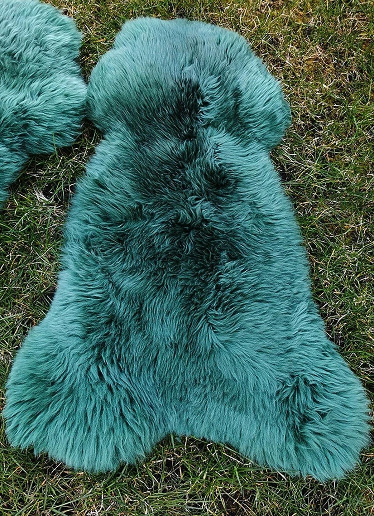 LAMMFELL Öko bunt gefärbt weich Fell Teppich Teal ca. 90 cm - Dunkelgrün, Fell (50/90cm) - Provellus