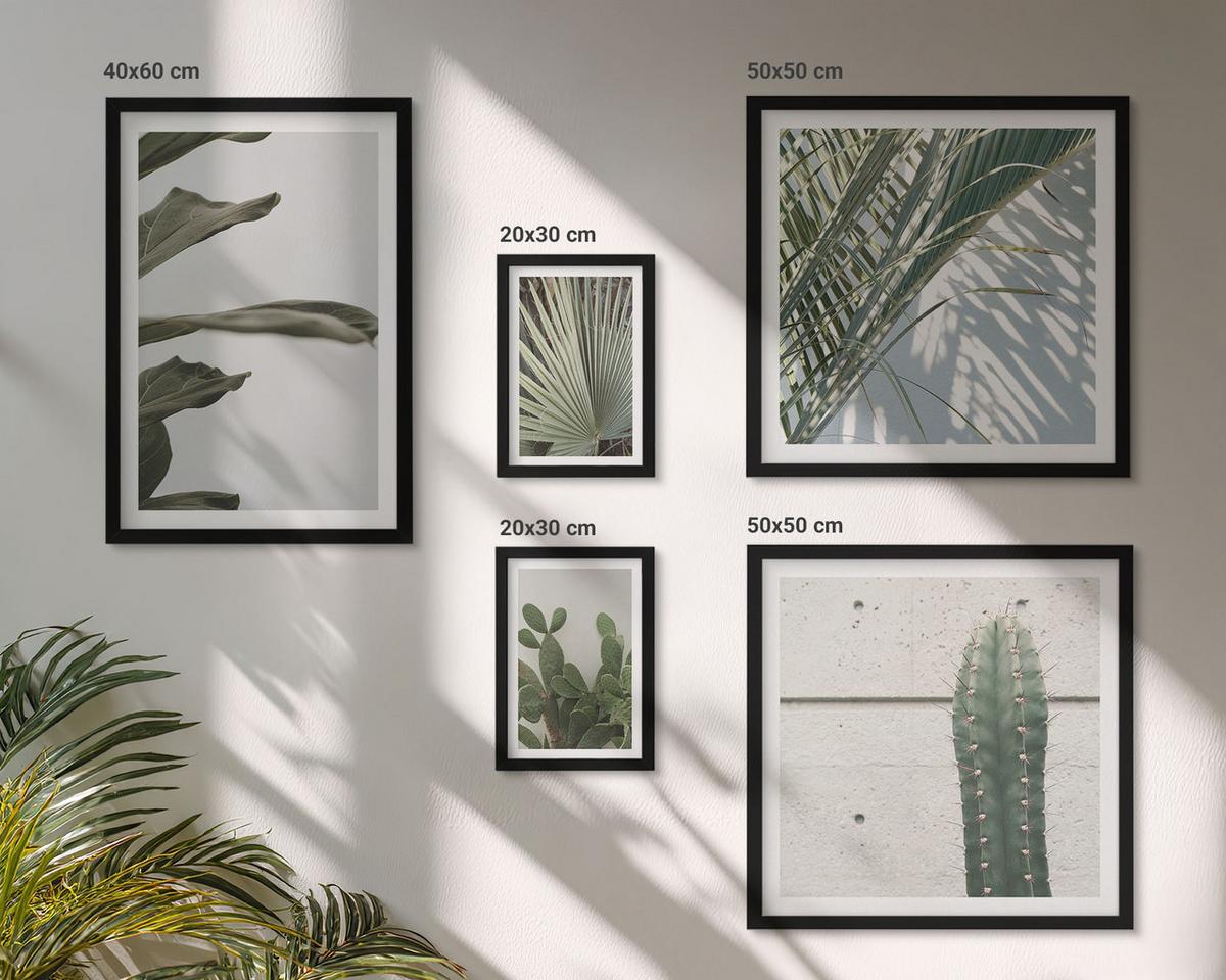 BILDER SET 5er Set - 50x50 cm & 20x30 cm & 40x60 cm Schwarzer Rahmen - Blätter tropischer Pflanzen in Pastellfarben - Schwarz, Kunststoff (40/60cm) - TULUP