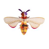 WANDDEKO Honigbiene 20/6 cm - Pink/Orange, Wellpappe (20/6/14cm) - Studio Roof