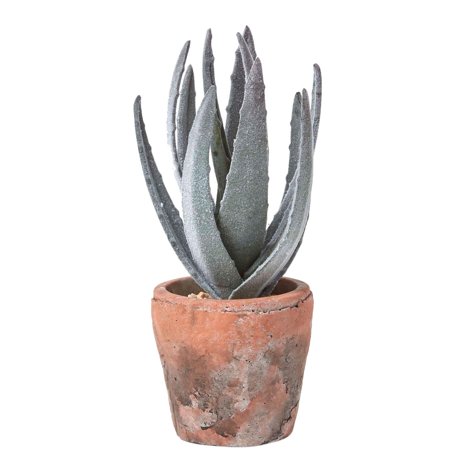 KUNSTPFLANZE Aloe vera im Terrakotta-Topf, 21 cm - Grün, Kunststoff (21cm) - Homescapes