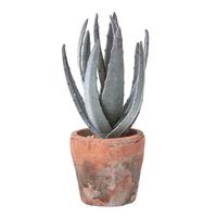 KUNSTPFLANZE Aloe vera im Terrakotta-Topf, 21 cm - Grün, Kunststoff (21cm) - Homescapes