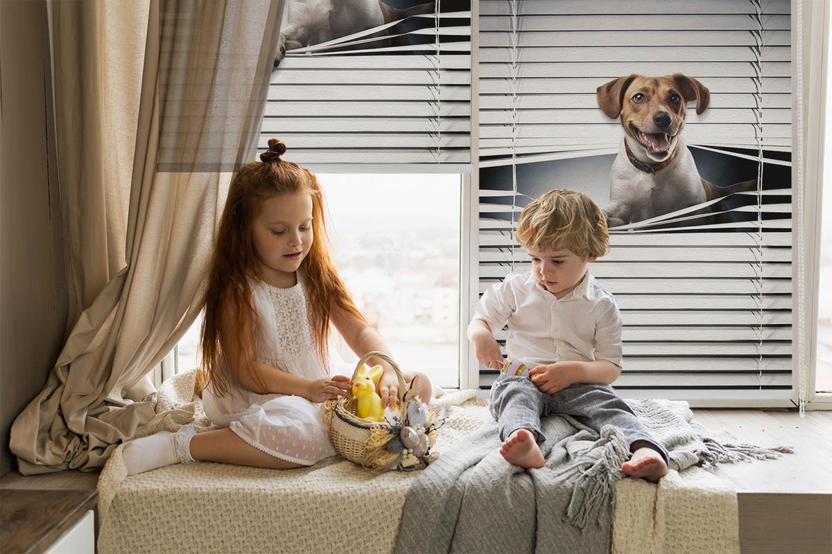 INNENROLLO - Fensterrollo - Rollo - 70x140 cm - Hund - Grau, Kunststoff (70/140/0.5cm) - TULUP