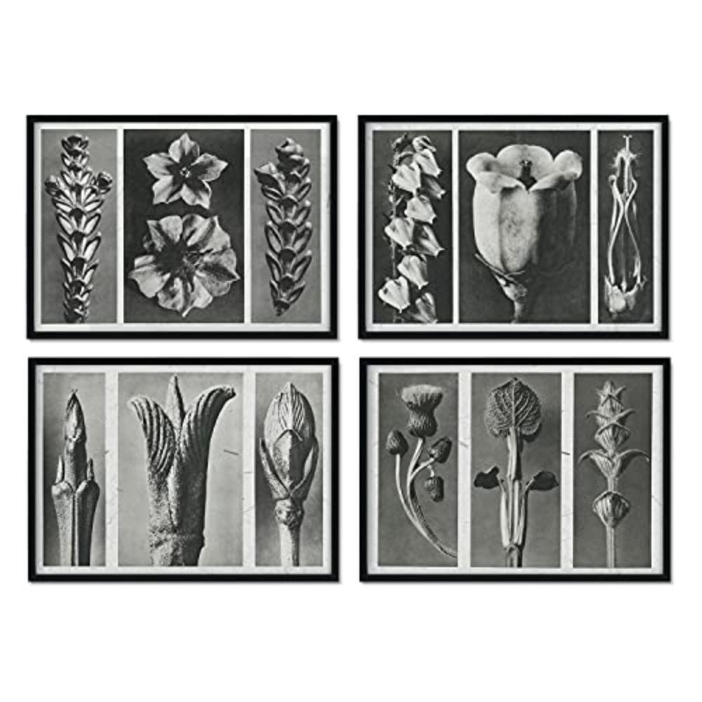POSTER Set mit 4 Blumenblätter 2 Blumen und Pflanzen in Grausteinen A4 Schwarzer Rahmen - Schwarz, Papier (29.7/3cm) - Nacnic