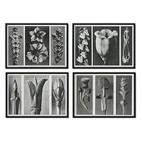 POSTER Set mit 4 Blumenblätter 2 Blumen und Pflanzen in Grausteinen A4 Schwarzer Rahmen - Schwarz, Papier (29.7/3cm) - Nacnic