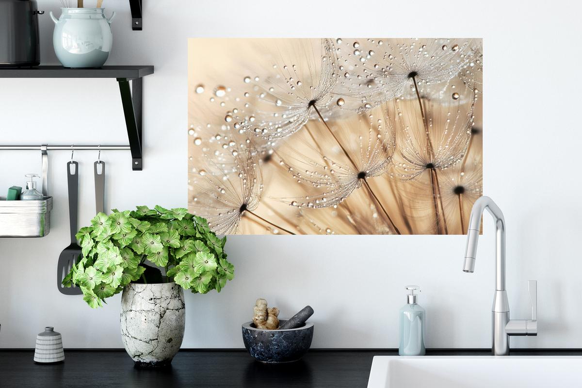 WANDTATTOO Löwenzahn - Abstrakt - Natur - Beige Deko Wohnzimmer 60x40 cm - Braun, Kunststoff (60/40/0.1cm) - MuchoWow