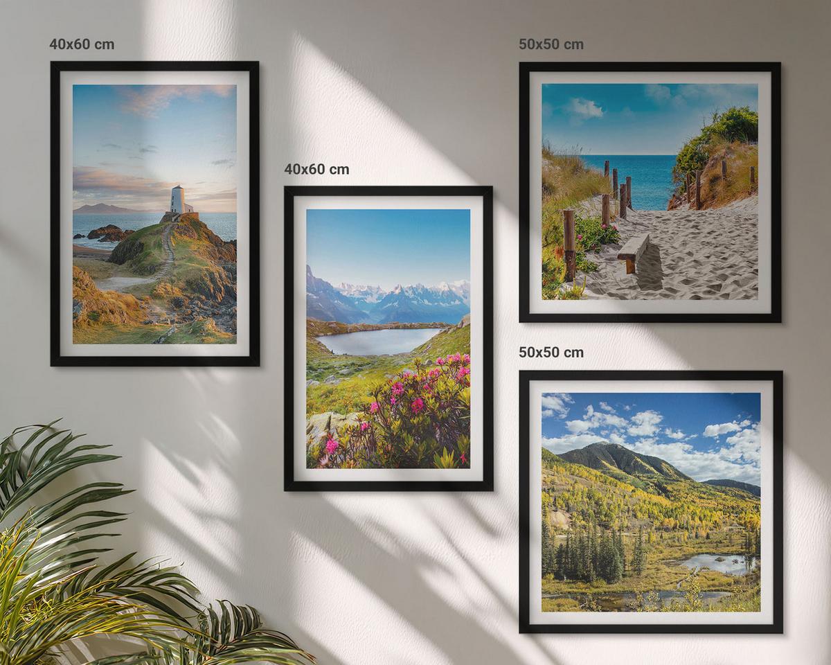 BILDER SET 4er Set - 50x50 cm & 40x60 cm Schwarzer Rahmen - Strand, Leuchtturm, Berge, Wiesen, Blumen - Schwarz, Kunststoff (50/50cm) - TULUP