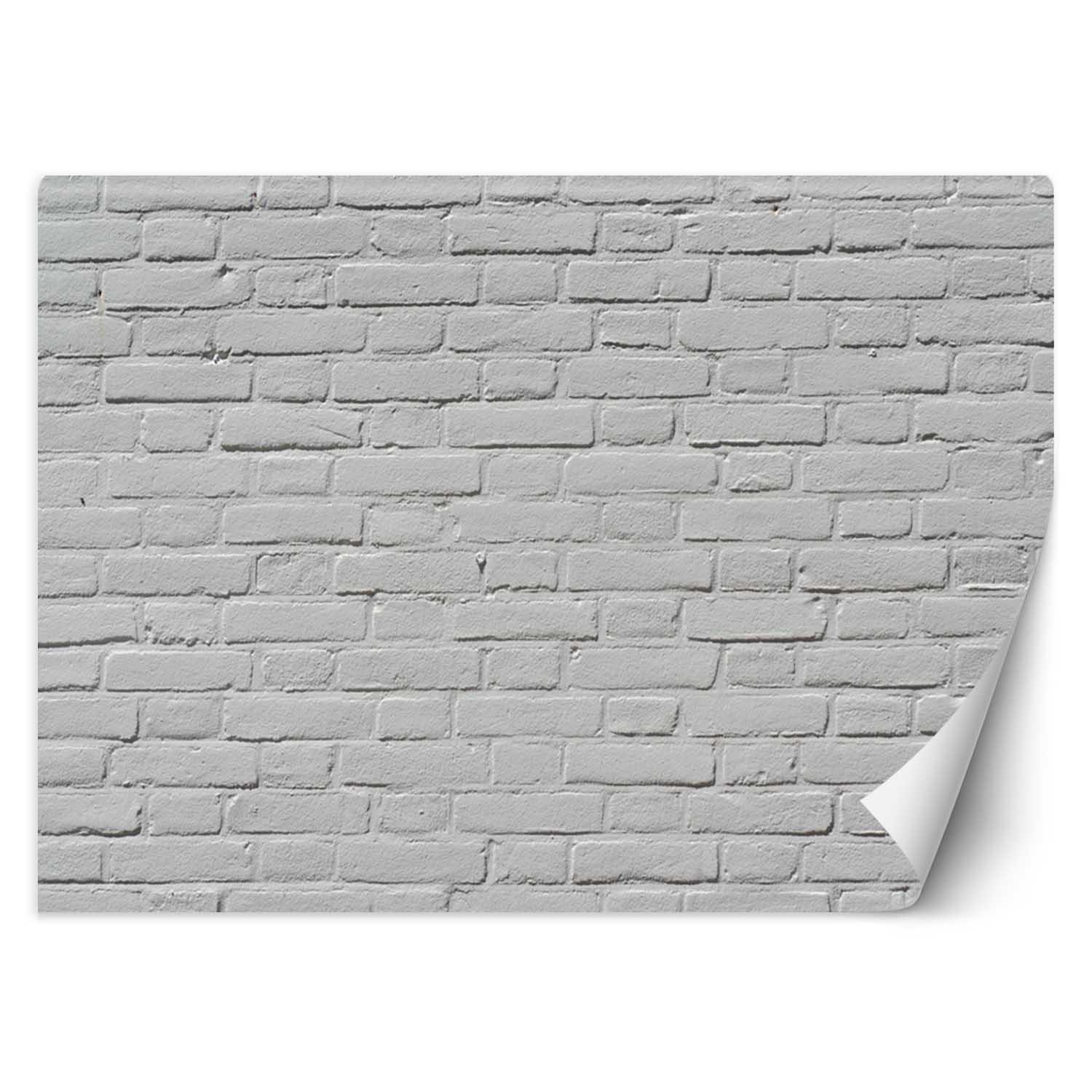 VLIESTAPETE Grau 150/105 cm - Grau, Papier (150/105cm) - KUNSTLOFT
