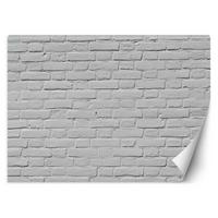 VLIESTAPETE Grau 300/210 cm - Grau, Papier (300/210cm) - KUNSTLOFT
