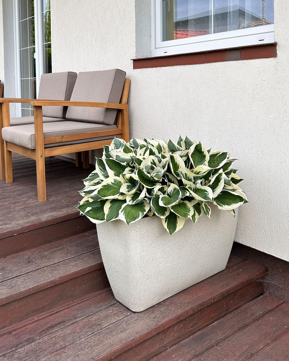 BLUMENTOPF 2er-Set hellbeige rechteckig 60/27/41 cm Baris - Beige, Stein (41cm) - Beliani