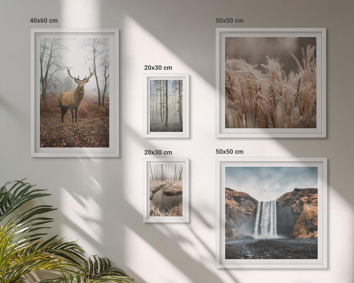 BILDER SET 5er Set - 50x50 cm & 20x30 cm & 40x60 cm Weißer Rahmen - Die charmanten Straßen der Hafenstädte - Weiß, Kunststoff (40/60cm) - TULUP