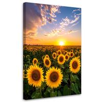 LEINWANDBILD Sonnenblumenfeld Sonnenuntergang 40x60cm - Gelb, Textil (40/60cm) - Feeby