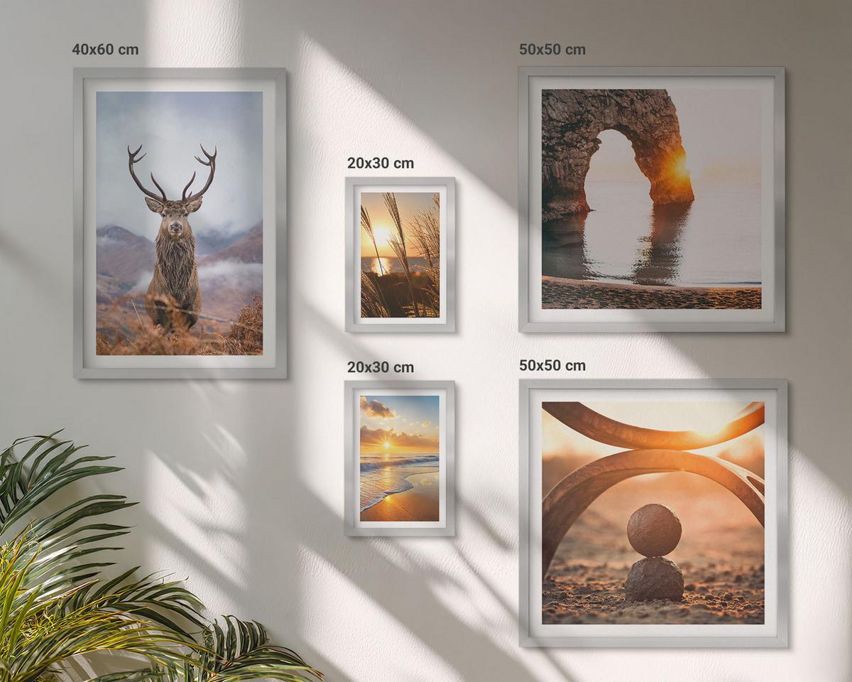 BILDER SET 5er Set - 50x50 cm & 20x30 cm & 40x60 cm Silberner Rahmen - Blätter des Weißen Tigerwasserfalls - Silberfarben, Kunststoff (40/60cm) - TULUP