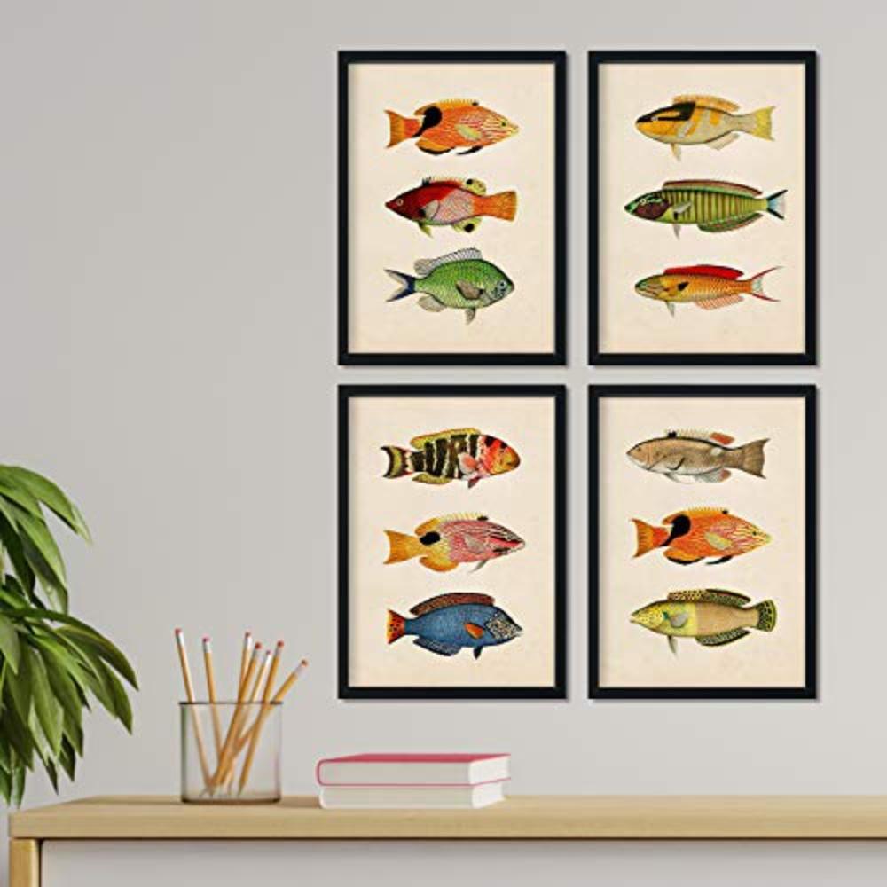 POSTER Set mit 4 bunten Effekt von 12 verschiedenem Fisch A4 Rahmenlos - Klar, Papier (29.7/3cm) - Nacnic