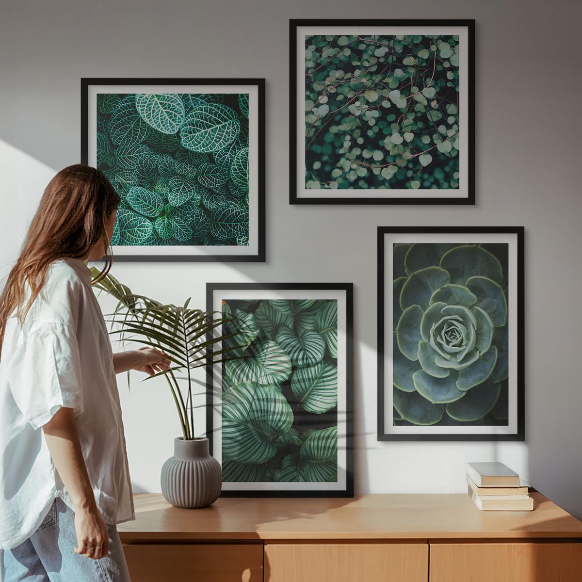 BILDER SET 4er Set - 50x50 cm & 40x60 cm Schwarzer Rahmen - Grüne Blätter von eleganten Sukkulenten - Schwarz, Kunststoff (50/50cm) - TULUP