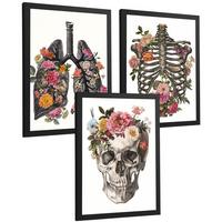 POSTER Set aus 3 Anatomie Mensch Drucke und mit Lungen Luftröhre Bronchien Rippen Wirbelsäule und Schädel Modernes Florales Größe Schwarzer Rahmen A3 - Schwarz, Papier (29.7/42/3cm) - Nacnic