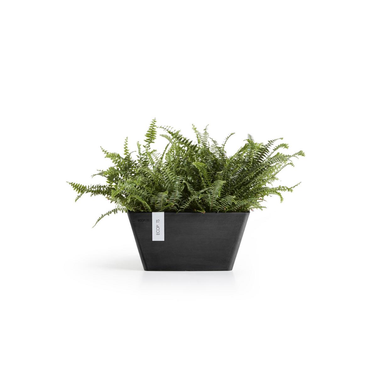 BLUMENTOPF Berlin 31,2/31,2/15,7 cm Dunkelgrau - Dunkelgrau, Kunststoff (31.2/15.7cm) - Ecopots