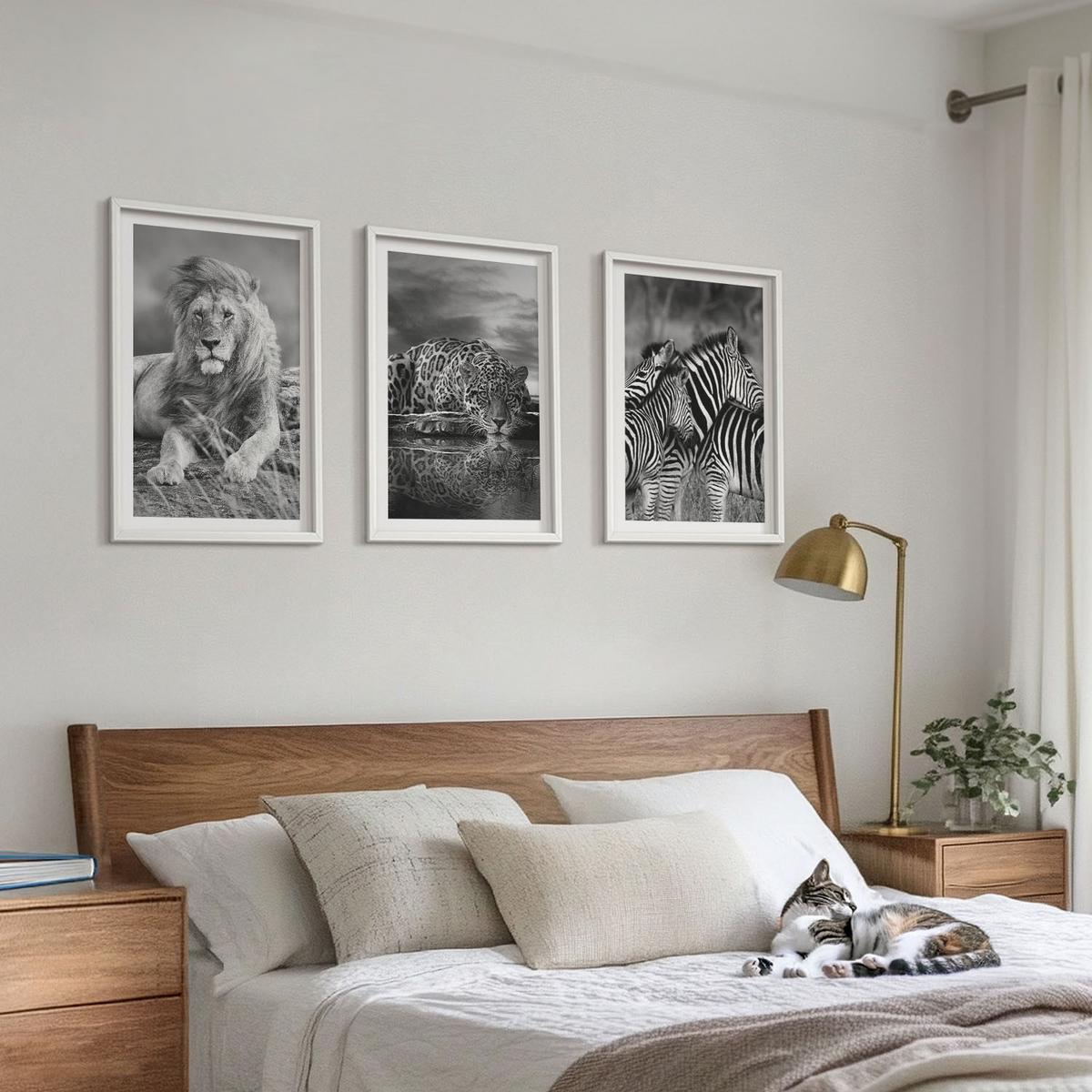 BILDER SET 3er Set - 40x60 cm Weißer Rahmen - Wildtiere der Savanne - Weiß, Kunststoff (40/60cm) - TULUP
