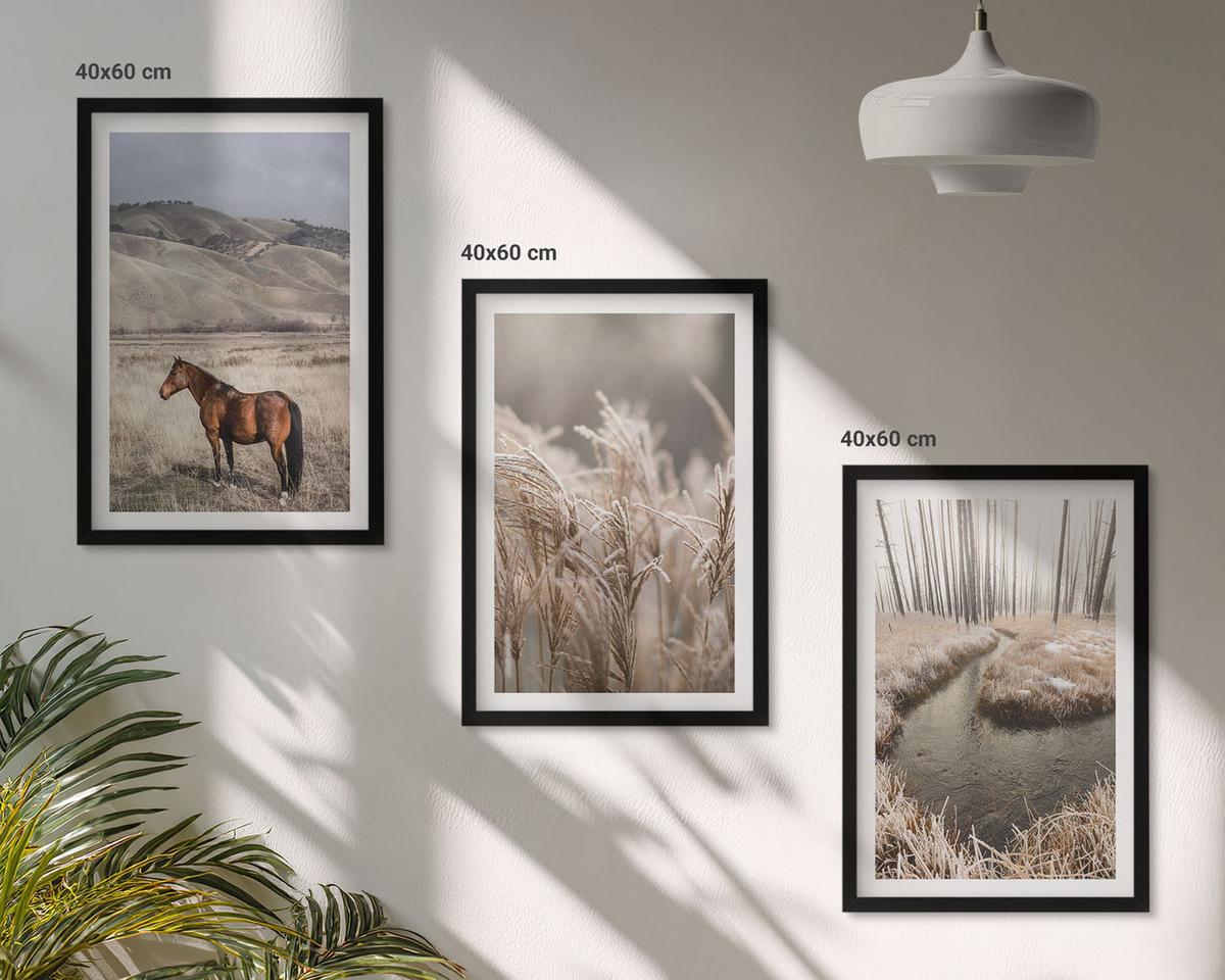 BILDER SET 3er Set - 40x60 cm Schwarzer Rahmen - Pferde, Landschaft, Gras, Bach - Schwarz, Kunststoff (40/60cm) - TULUP