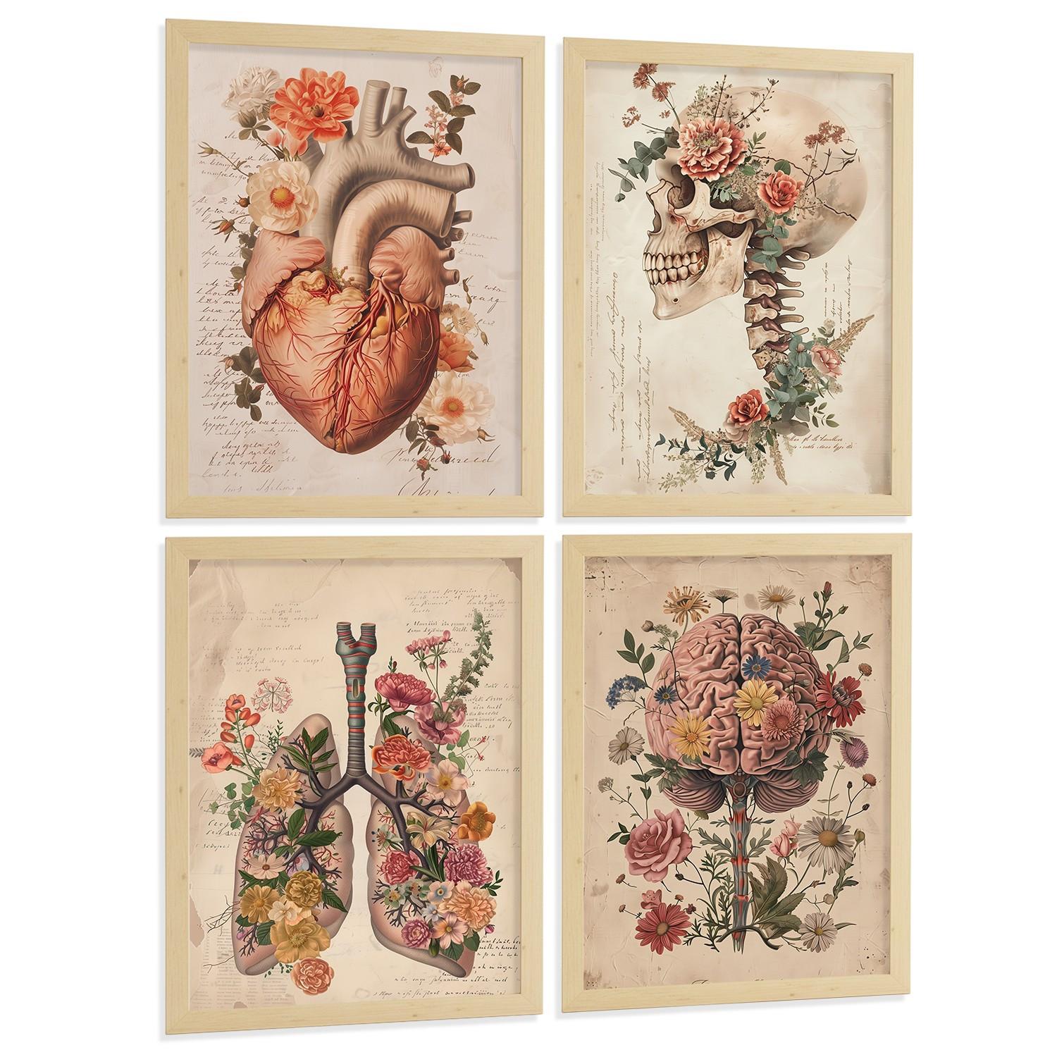 POSTER Set aus 4 Vintage Anatomie Drucke und Wandbilder mit Blumen Herz Lungen Schädel und Gehirn Wanddekoration Größe Leichter Holzrahmen A3 - Beige, Papier (29.7/42/3cm) - Nacnic