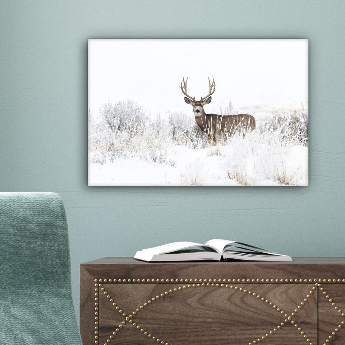 LEINWANDBILD Hirsche - Winter - Schnee - Tiere - Jahreszeiten - Weiß Deko Schlafzimmer 30x20 cm - Hellbraun, Textil (30/20cm) - MuchoWow