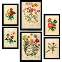 POSTER Set Mit 6 Blumensträuße 2 In Vintage A3 & A4 Weißer Rahmen - Weiß, Papier (29/3cm) - Nacnic