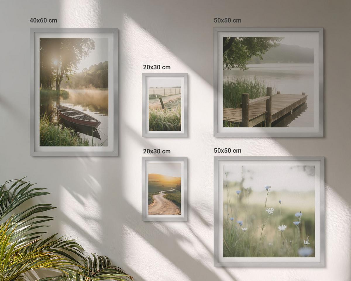 BILDER SET 5er Set - 50x50 cm & 20x30 cm & 40x60 cm Silberner Rahmen - Libellen im Gras, Wassermalerei - Silberfarben, Kunststoff (40/60cm) - TULUP