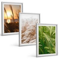 BILDER SET 3er Set - 40x60 cm Silberner Rahmen - Gräser farbenfrohe Natur - Silberfarben, Kunststoff (40/60cm) - TULUP