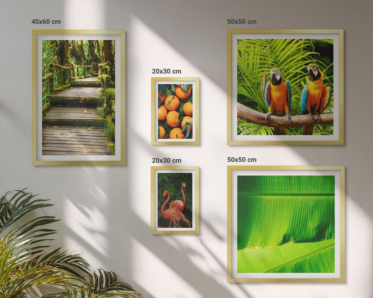 BILDER SET 5er Set - 50x50 cm & 20x30 cm & 40x60 cm Goldrahmen - Fruchtige Akzente der Tropen - Goldfarben, Kunststoff (40/60cm) - TULUP