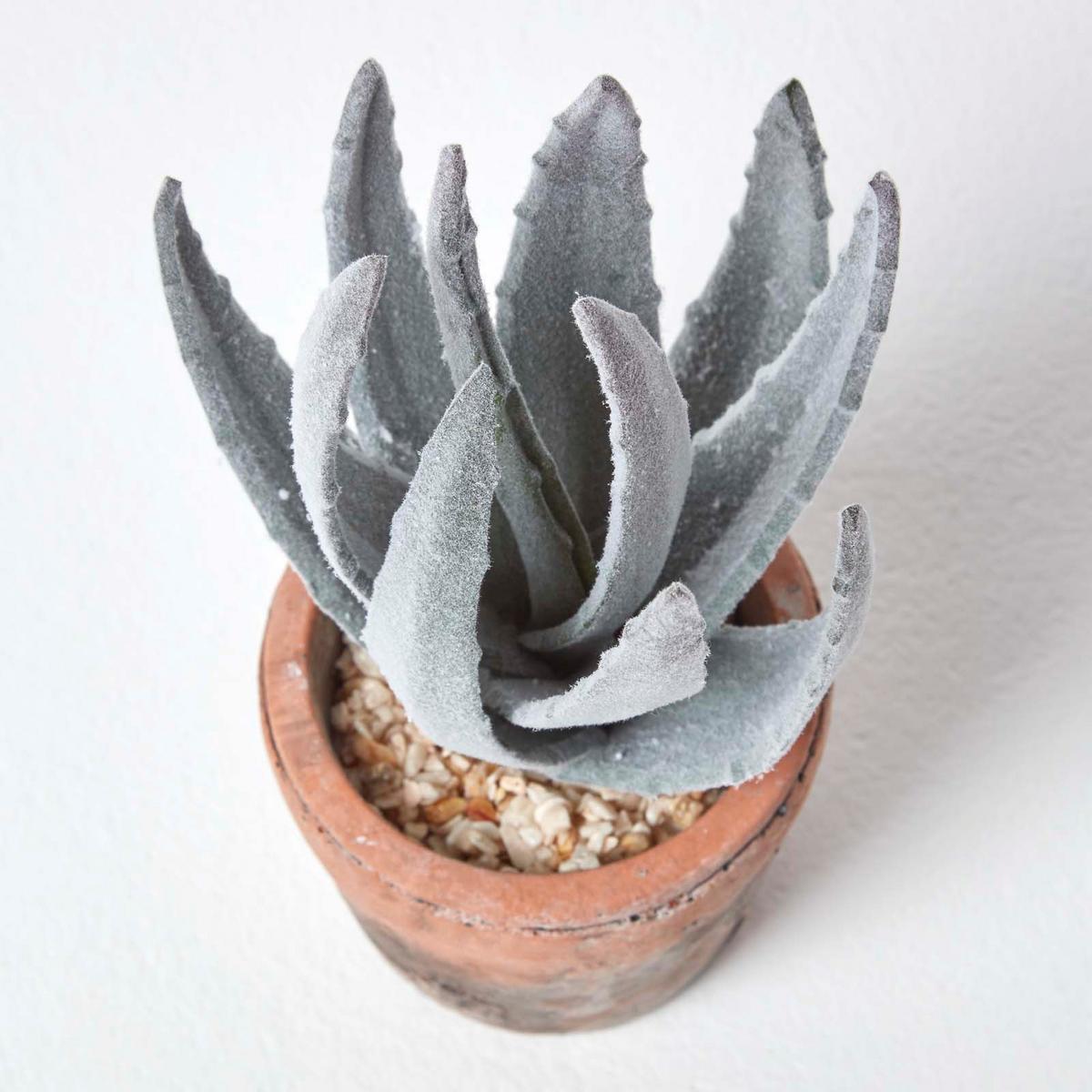 KUNSTPFLANZE Aloe vera im Terrakotta-Topf, 21 cm - Grün, Kunststoff (21cm) - Homescapes