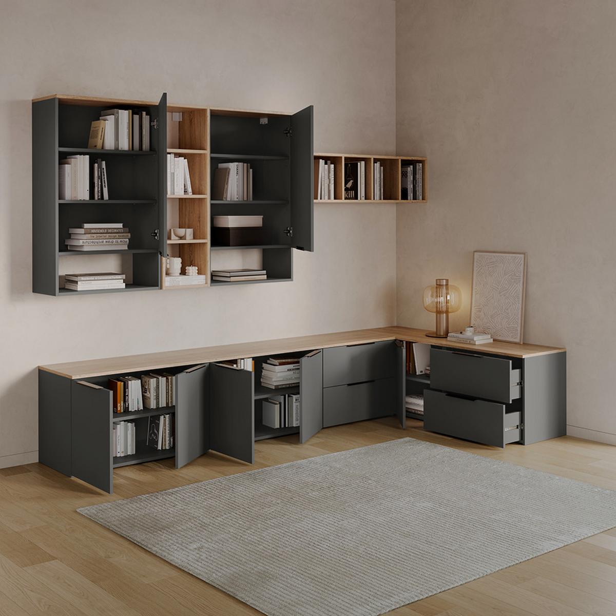 HÄNGESCHRANK Piave Anthrazit 60 x 100 cm mit Tür - Anthrazit, Holzwerkstoff (60/100/30cm) - Livinity®