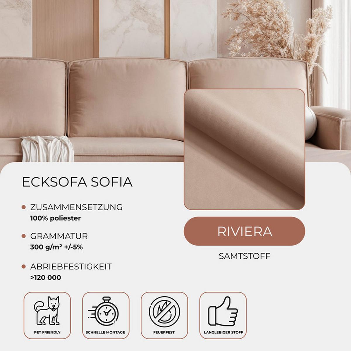 ECKSOFA SOFIA mit Schlaffunktion und Bettkasten Braun - Braun, Holzwerkstoff/Kunststoff (277/157cm) - Idohome