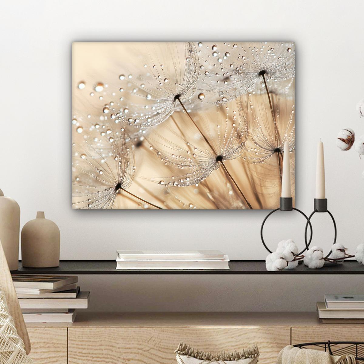 LEINWANDBILD Löwenzahn - Abstrakt - Natur - Beige Wandbild 40x30 cm - Braun, Textil (40/30cm) - MuchoWow