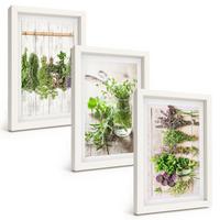BILDER SET 3er Set - 20x30 cm Weißer Rahmen - Kräuterpflanzen für die Küche - Weiß, Kunststoff (20/30cm) - TULUP