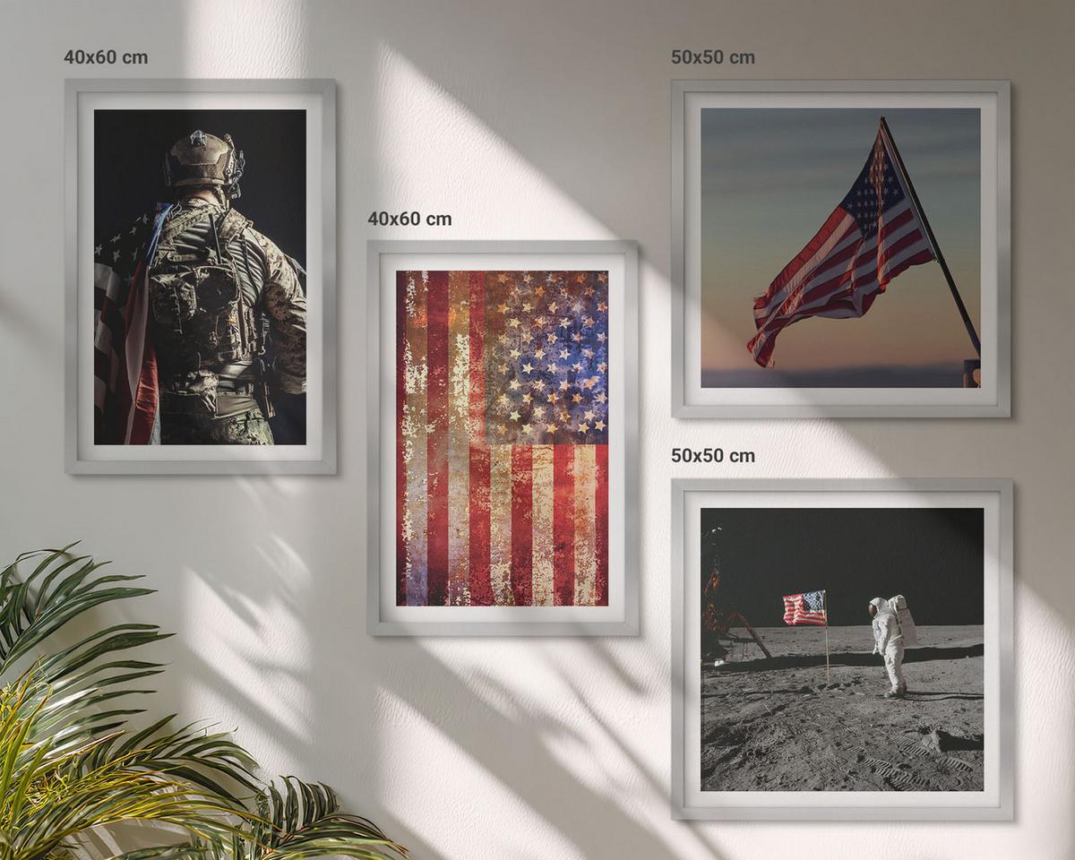 BILDER SET 4er Set - 50x50 cm & 40x60 cm Silberner Rahmen - Amerikanische Symbole, USA-Flagge - Silberfarben, Kunststoff (50/50cm) - TULUP