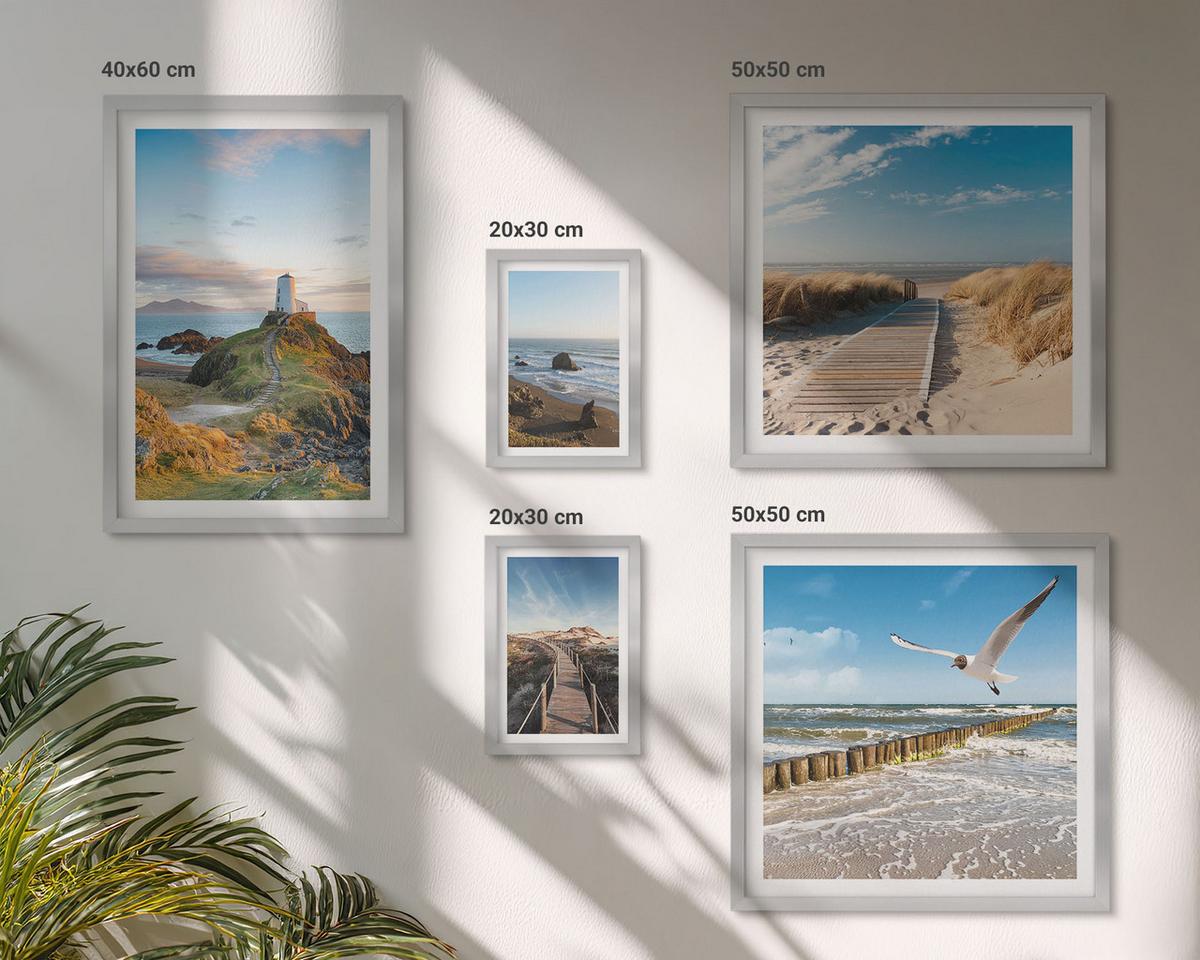 BILDER SET 5er Set - 50x50 cm & 20x30 cm & 40x60 cm Silberner Rahmen - Palmen am Meer, blaues Wasser - Silberfarben, Kunststoff (40/60cm) - TULUP