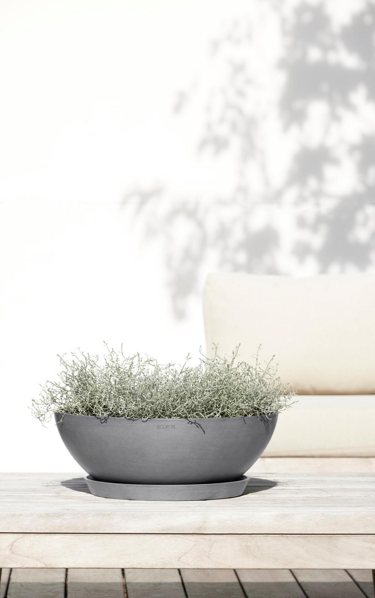 BLUMENTOPF Vienna 50,4/18,5 cm Grau - Grau, Kunststoff (50.4/18.5cm) - Ecopots