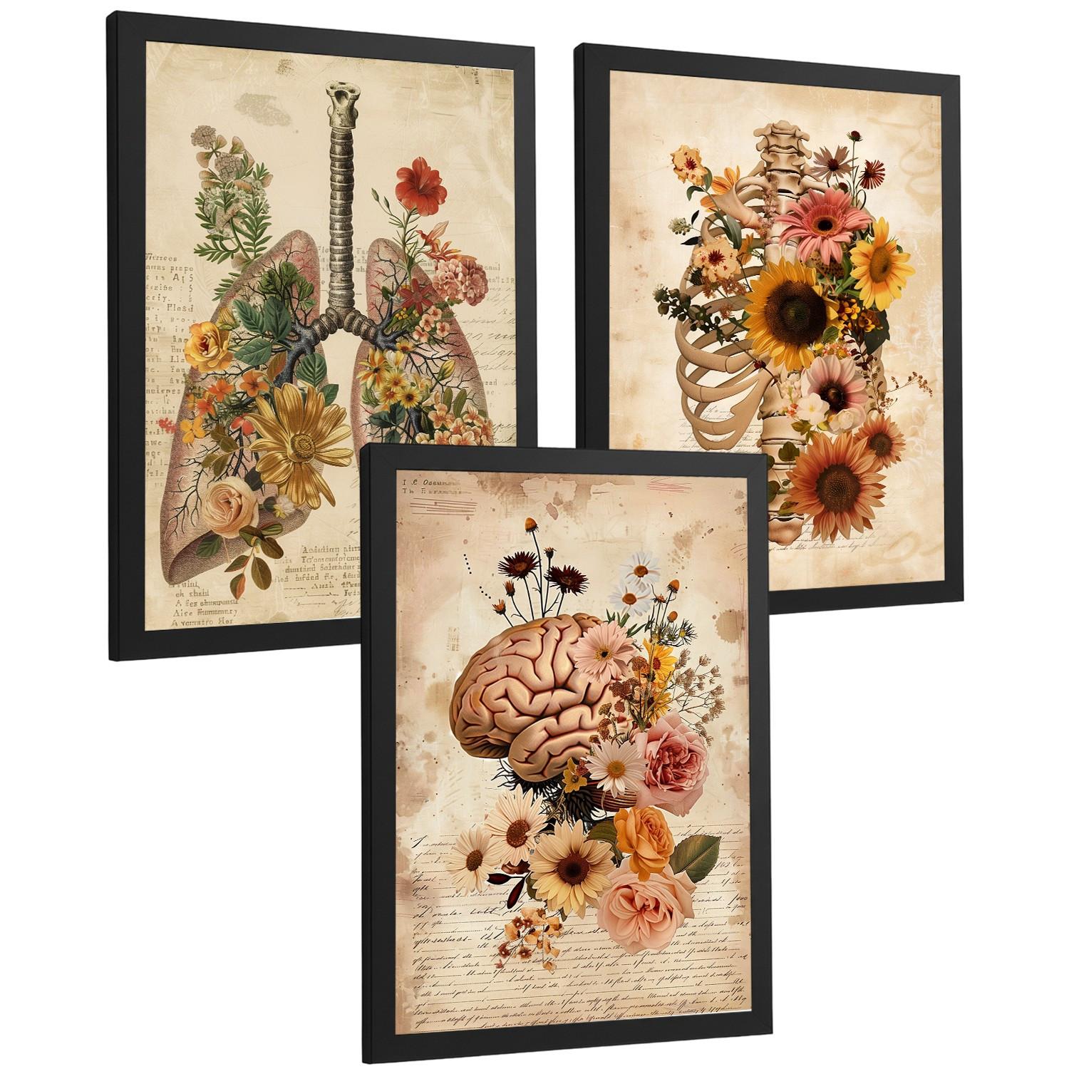 POSTER Set aus 3 Anatomie Mensch Florale Drucke und Wandbilder mit Lungen Brustkorb und Gehirn Botanischer Antiker Stil Größe Schwarzer Rahmen A4 - Schwarz, Papier (21/29.7/3cm) - Nacnic