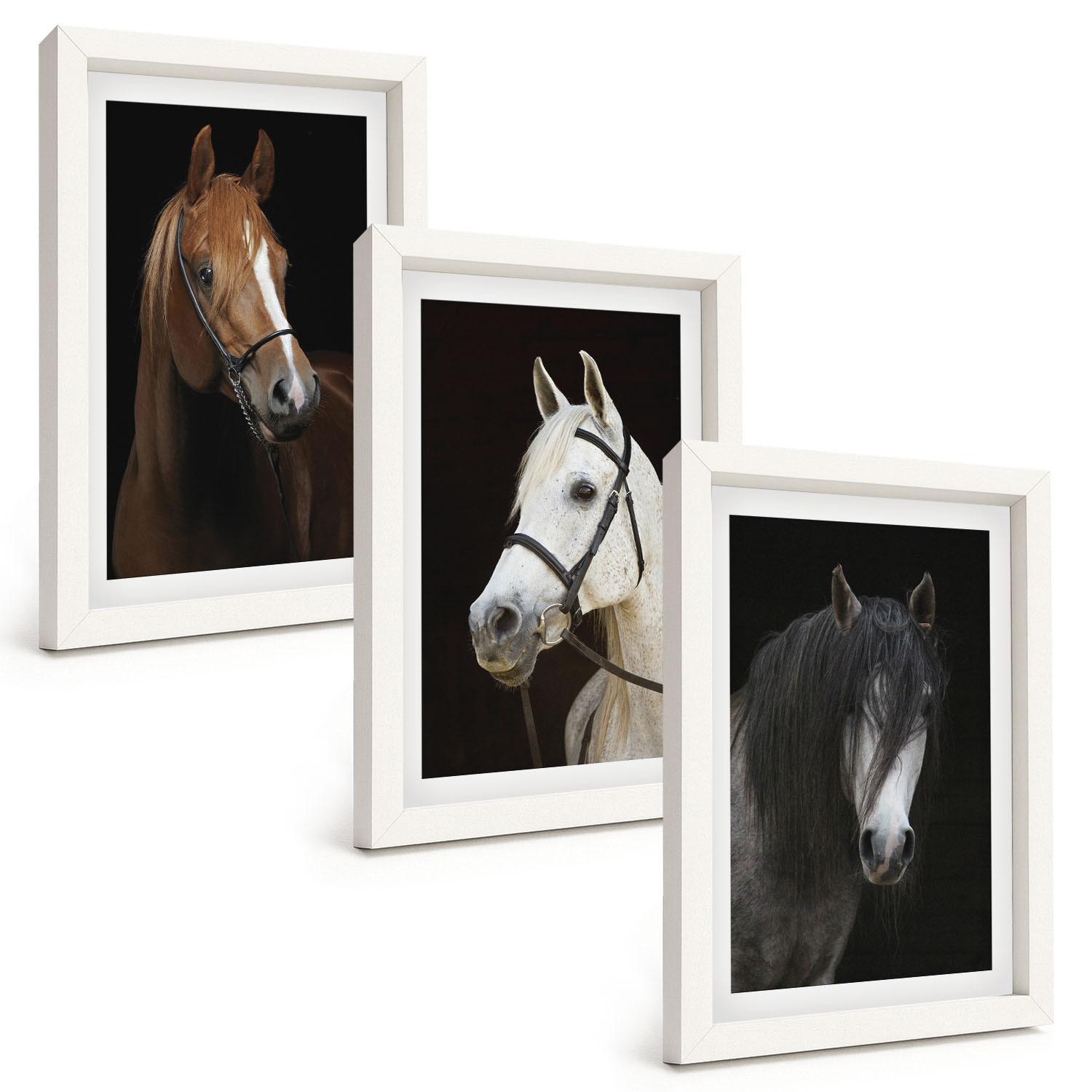 BILDER SET 3er Set - 20x30 cm Weißer Rahmen - Porträts von Pferden in verschiedenen Fellfarben - Weiß, Kunststoff (20/30cm) - TULUP