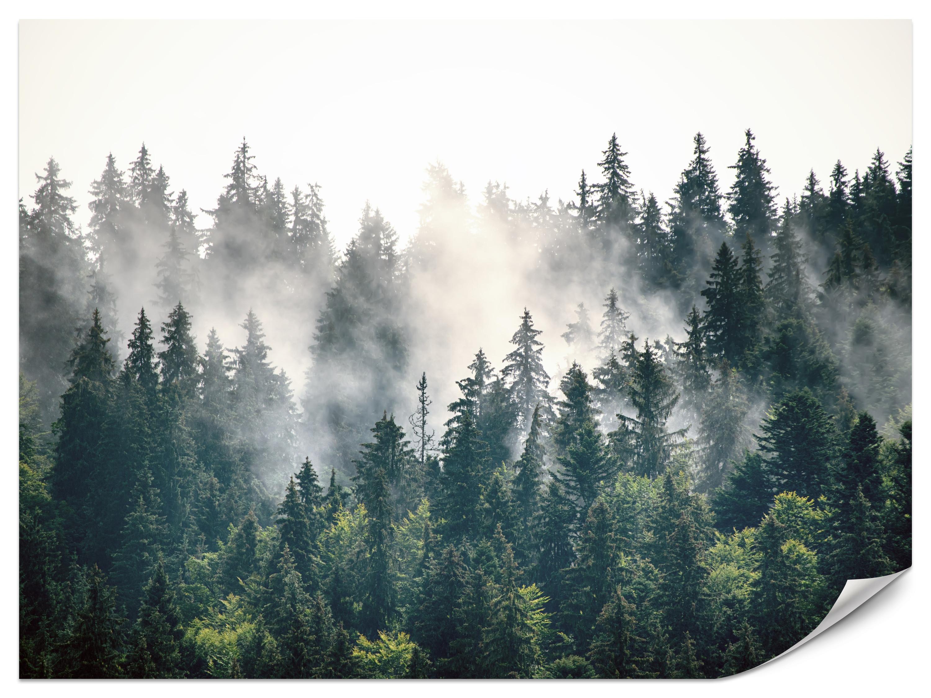 FOTOTAPETE für Wohnzimmer Nebeliger Nadelwald Berg Mystik Bäume 200x140 - Weiß/Grün, Papier (200/140cm) - Muralo