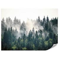 FOTOTAPETE für Wohnzimmer Nebeliger Nadelwald Berg Mystik Bäume 200x140 - Weiß/Grün, Papier (200/140cm) - Muralo