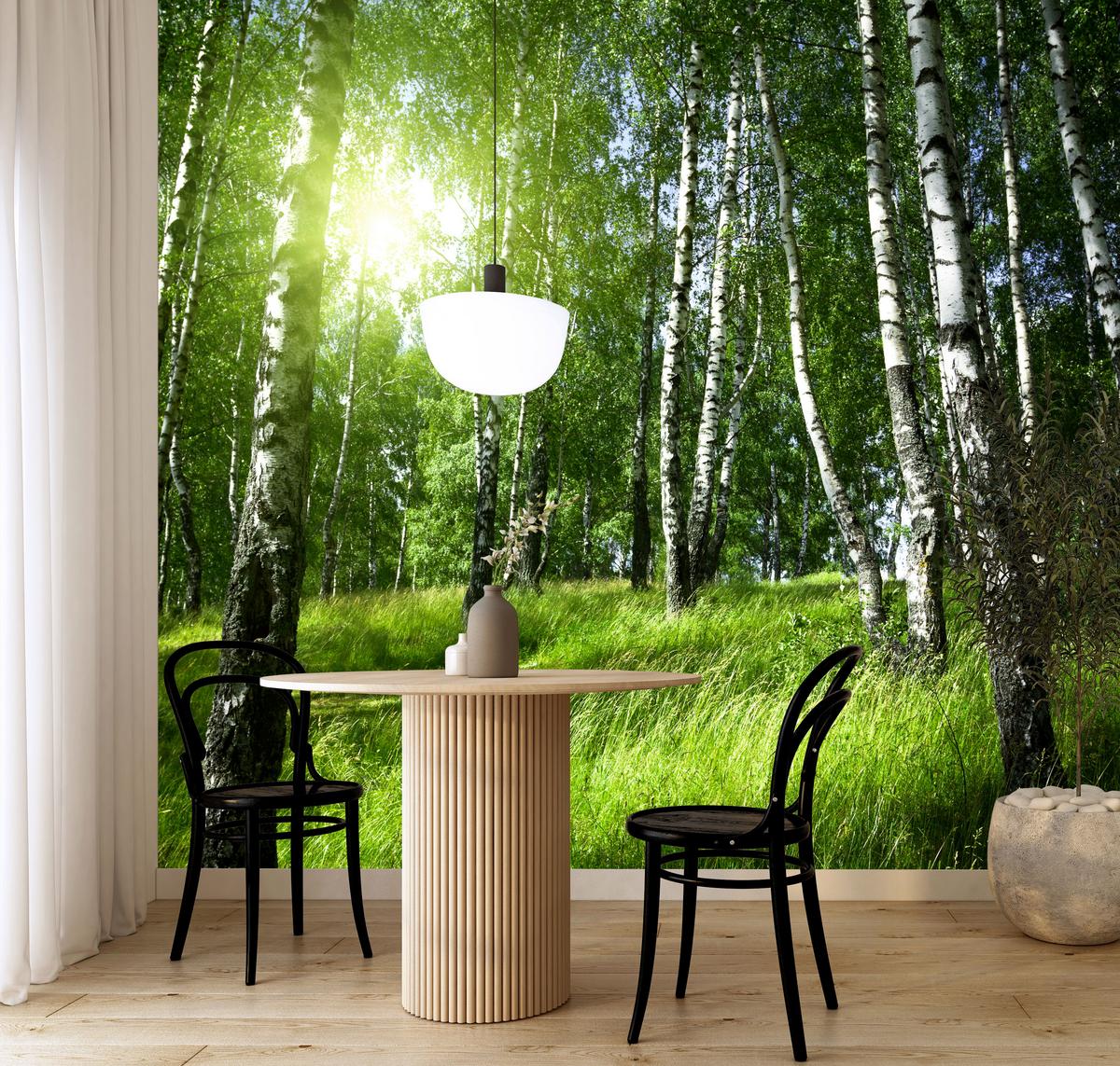 FOTOTAPETE für Wohnzimmer Grüner Birkenwald Gras Sonne Natur 400x280 - Schwarz/Weiß, Papier (400/280cm) - Muralo